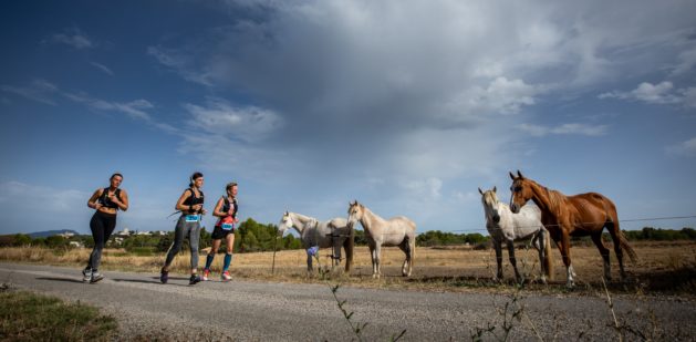 Semi-marathon des Vendanges 2019. Photo : Anthony Alliès