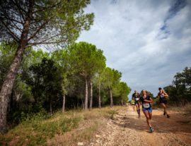 Semi-marathon des vendanges