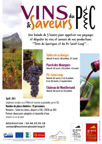 Télécharger le flyer Affiche Vins & Saveurs du Pic