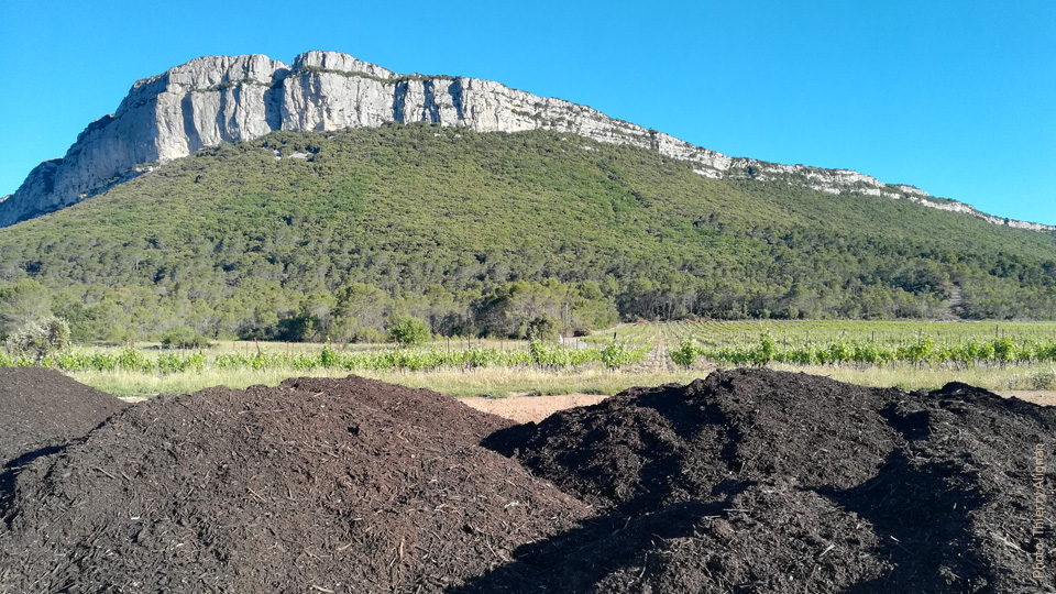 Le compost, pour lutter contre l’appauvrissement des sols. Photo : Thierry Alignan