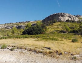 Balade Vins & Saveurs : Puech des Mourgues