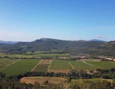 Plaine de Claret. Photo : Sébastien Alla
