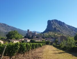 Balade Vins et Saveurs : Vallée de la Buèges 2019