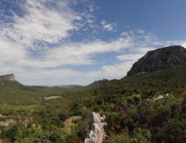 Balade Vins & Saveurs : Pic Saint-Loup