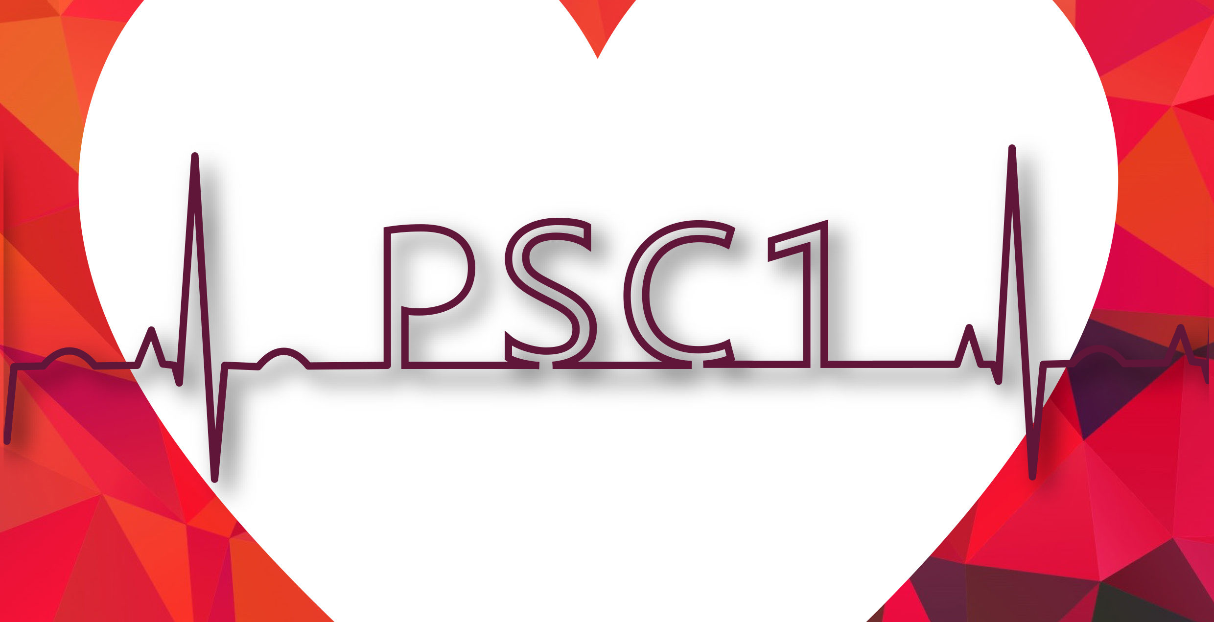 Affiche PSC1