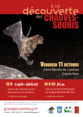 Affiche soirée chauves-souris