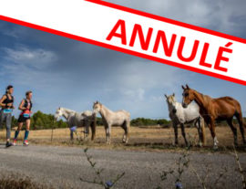 Semi-marathon des vendanges