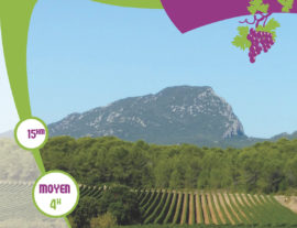 Inauguration de l'Œnorando « Entre Grès de Montpellier et Pic Saint-Loup »