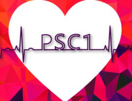 Prévention Secours Civique - niveau 1 (PSC 1)