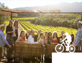 Balade Vins & Saveurs à vélo : Domaine Mas Brunet