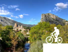 Balade Vins & Saveurs à vélo : Vignoble Coulet