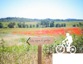 Balade Vins & Saveurs à vélo : Domaine de la Jasse