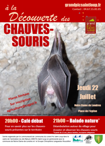 Télécharger le flyer Télécharger le flyer