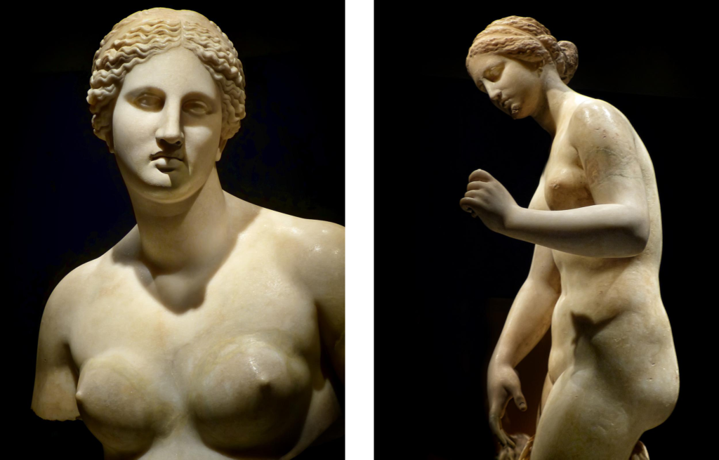 Bust of Aphrodite Roman copy of 360 BCE Greek original by Praxiteles found in the river Tiber in Rome (4) Side view of Aphrodite Roman copy of 4th century BCE original by Praxiteles from Ostia, Italy