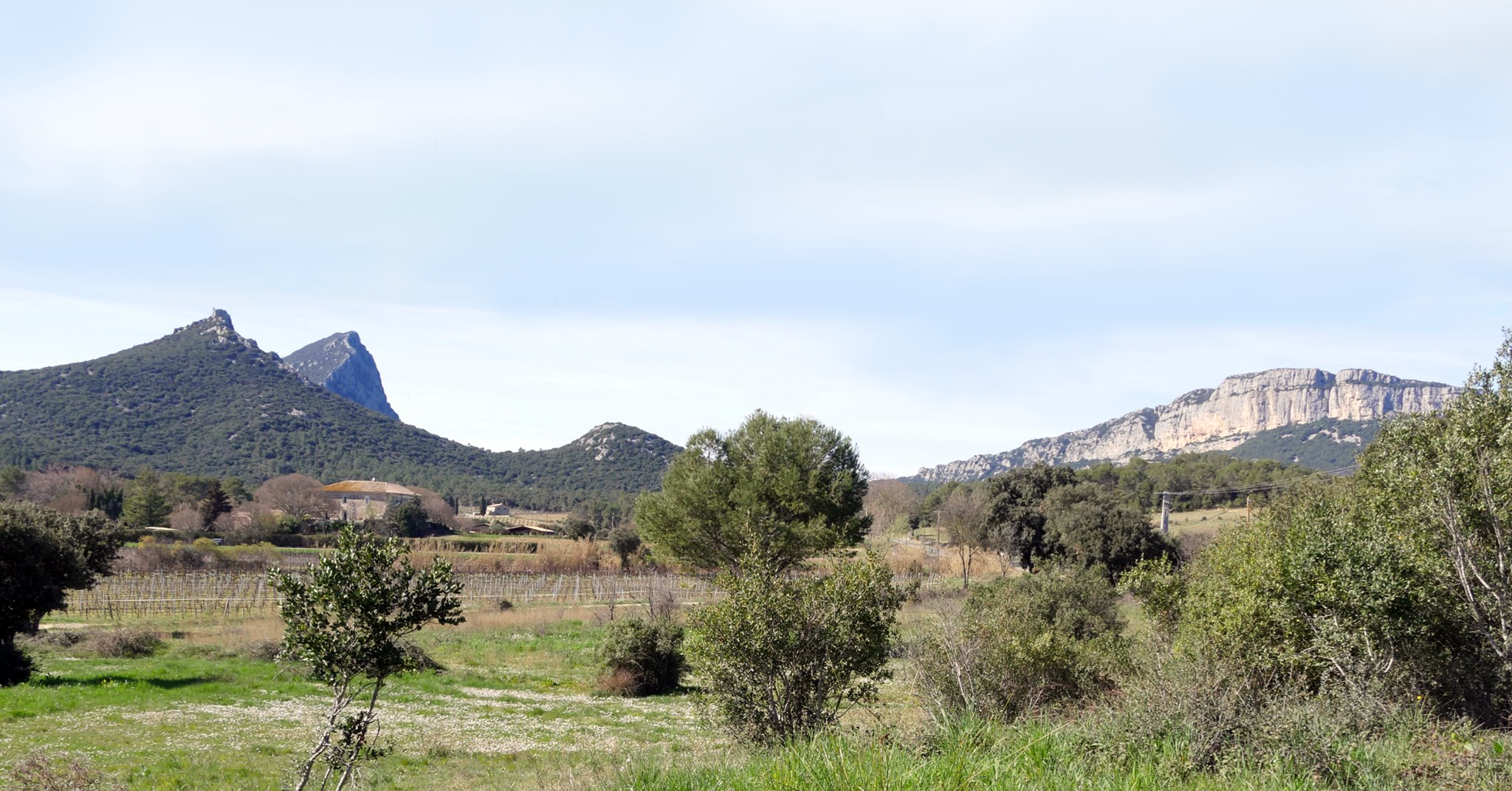 A la découverte de la biodiversité de Saint-Mathieu-de-Tréviers. Photo : Ecologistes de l'Euzière