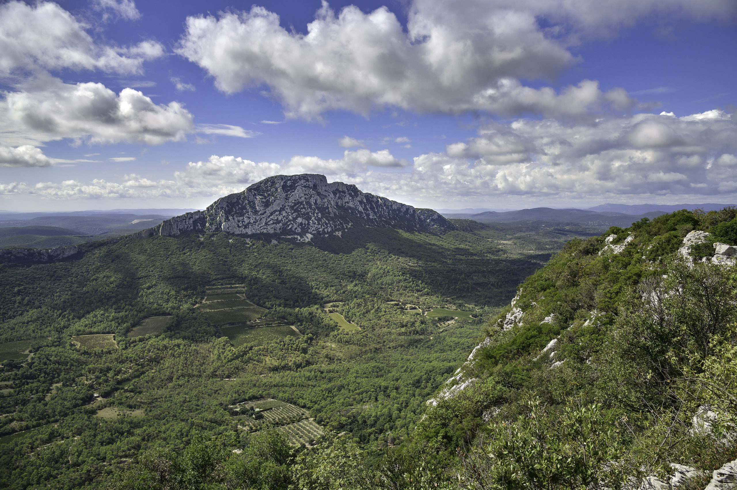 Le Pic Saint-Loup vu depuis l'Hortus. Photo : Emmanuel Perrin