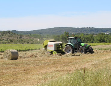 Transmettre son exploitation agricole ne s’improvise pas. Photo : Thierry Alignan
