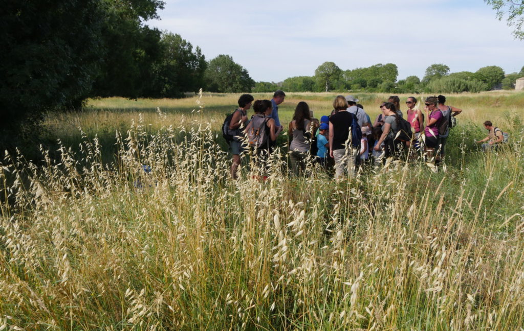 6 expéditions naturalistes pour découvrir les trésors de notre territoire. Photo : Sophie Dubois