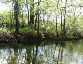 Expé naturaliste : rivière et espèces remarquables