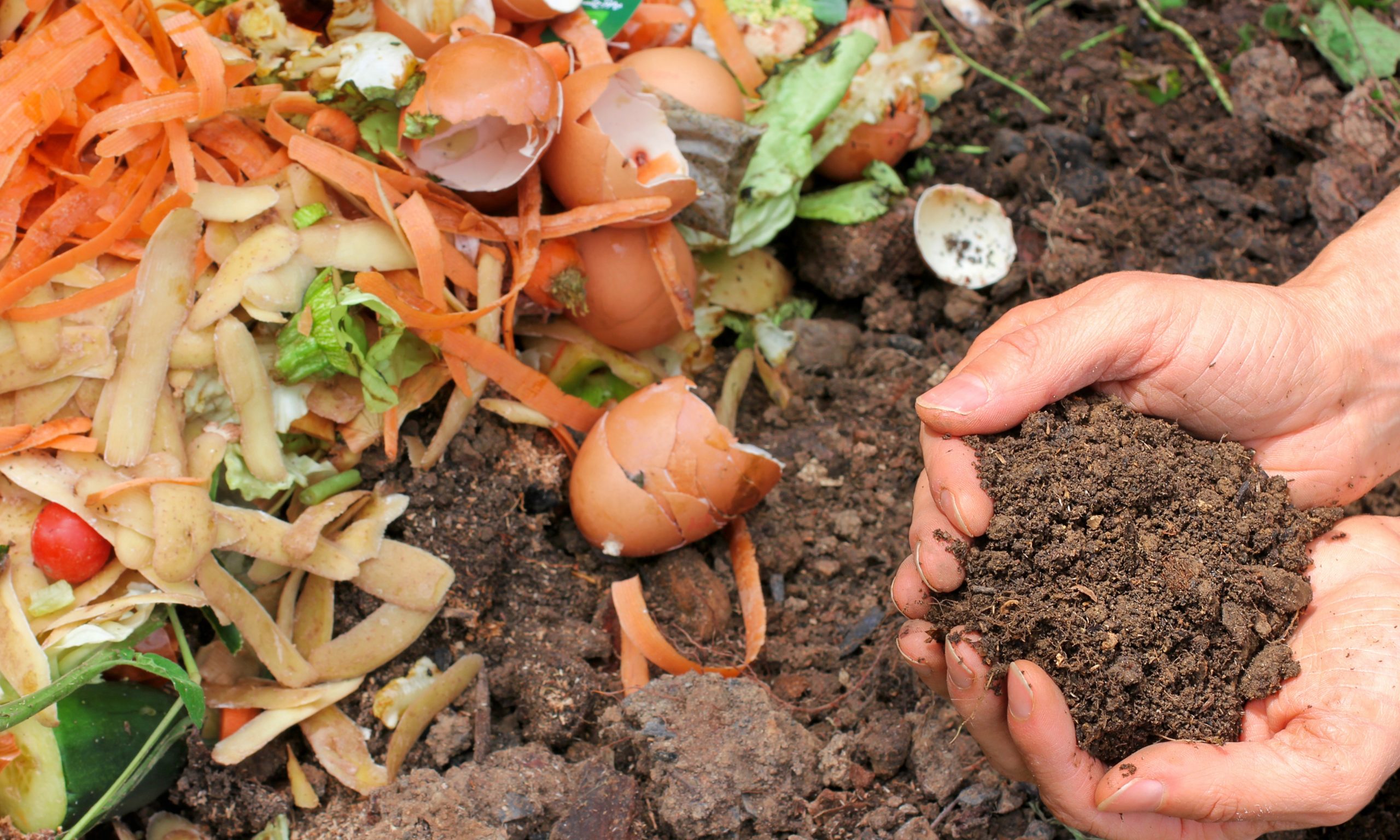 Collectif ou individuel, le compostage des biodéchets s’impose. Photo : pixabay
