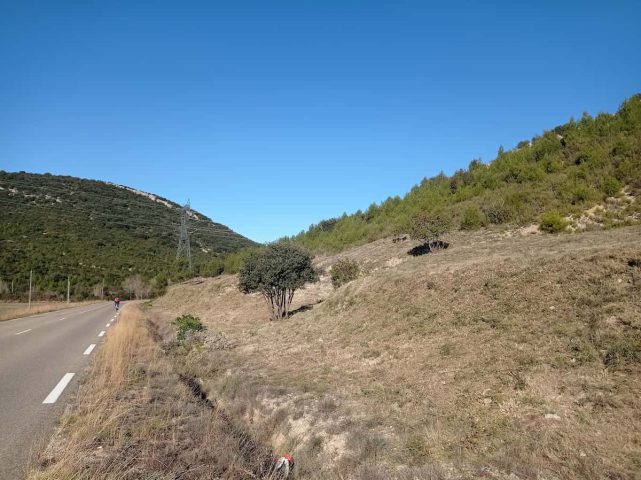 OLD réalisés sur la Route Départementale 1